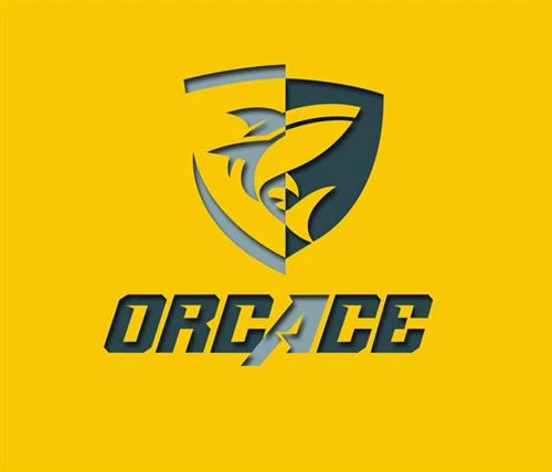 Orca  Inteliģents  Aprīkojums  Co.,  SIA